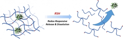 Redox-responsive Hydrogel